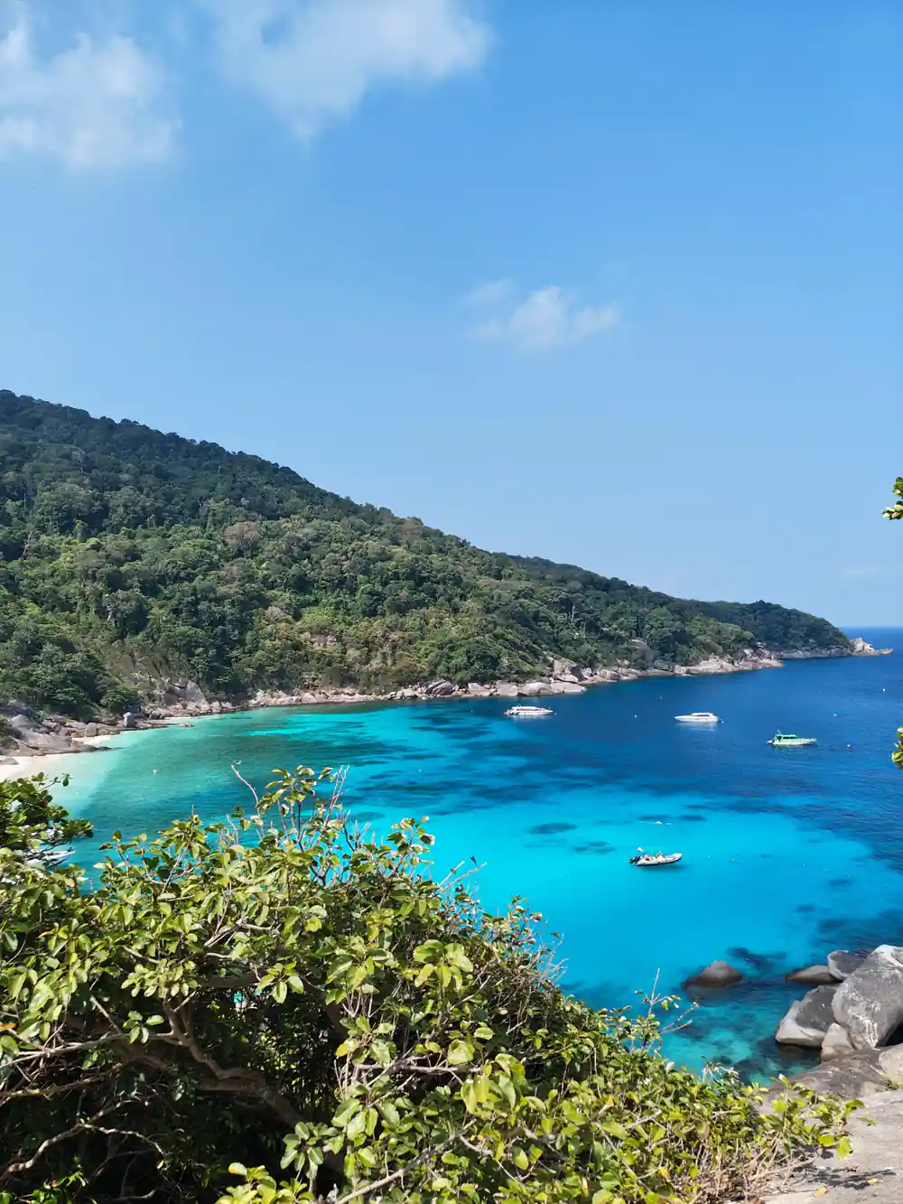 Aerial view of turquoise cove with boats and forested hills