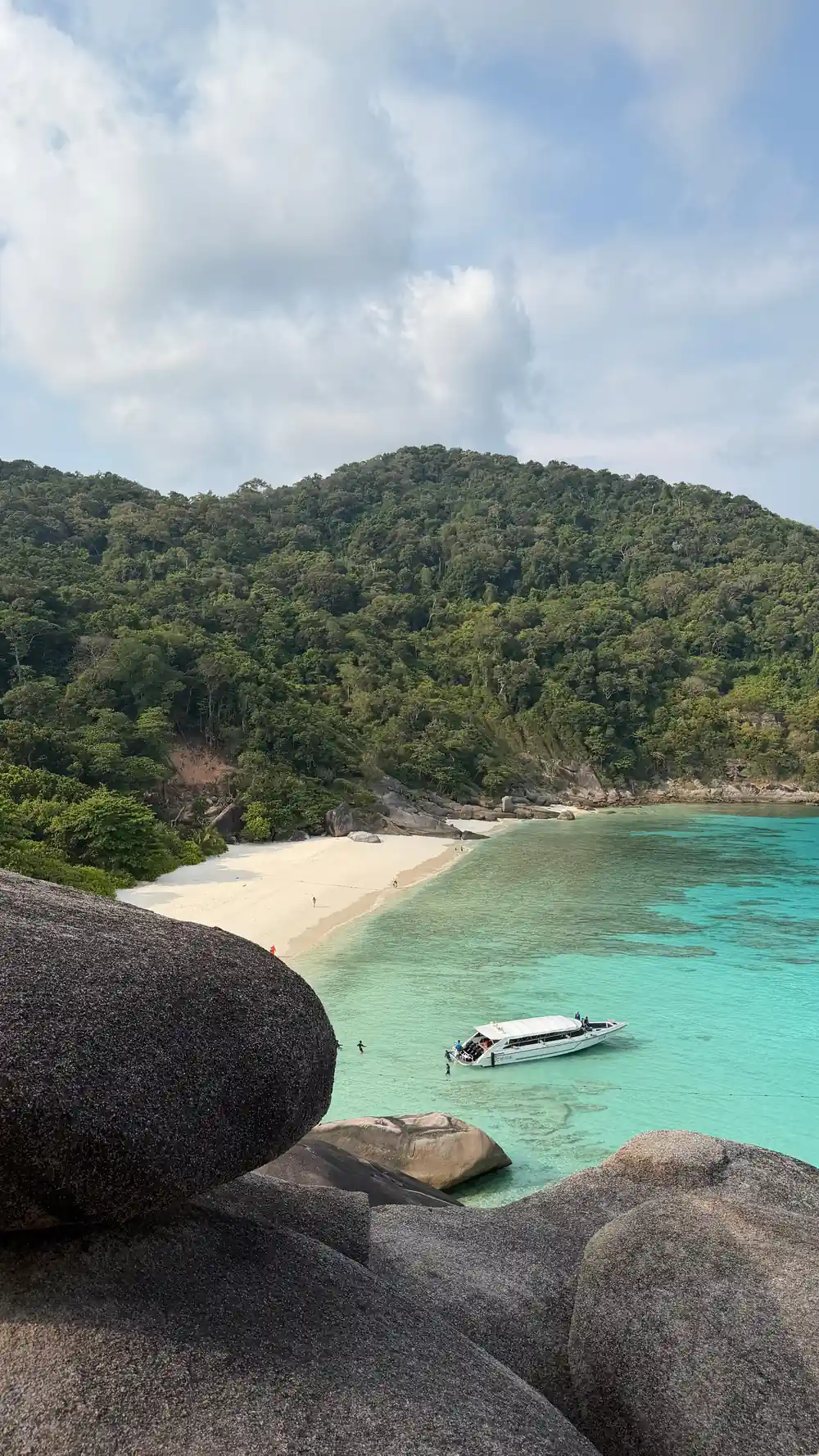 Curved sandy beach cove with dense green jungle hillside