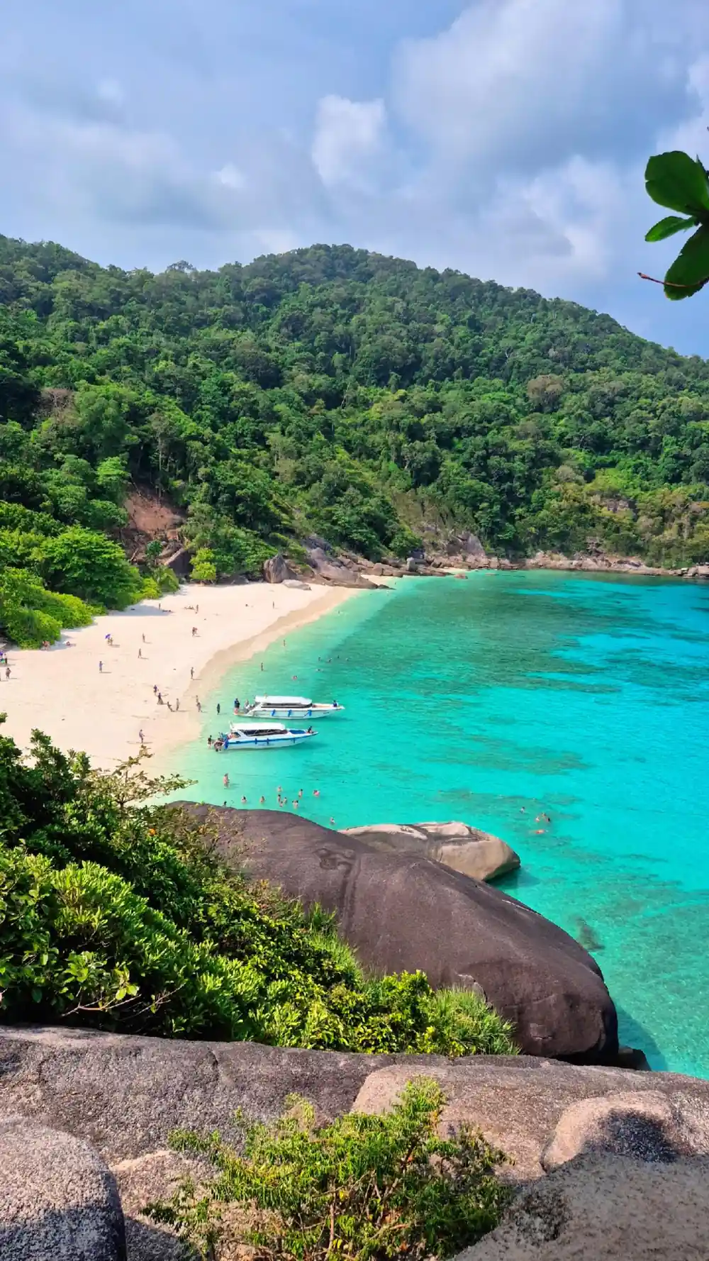 Elevated view of tropical beach bay with forested hillside