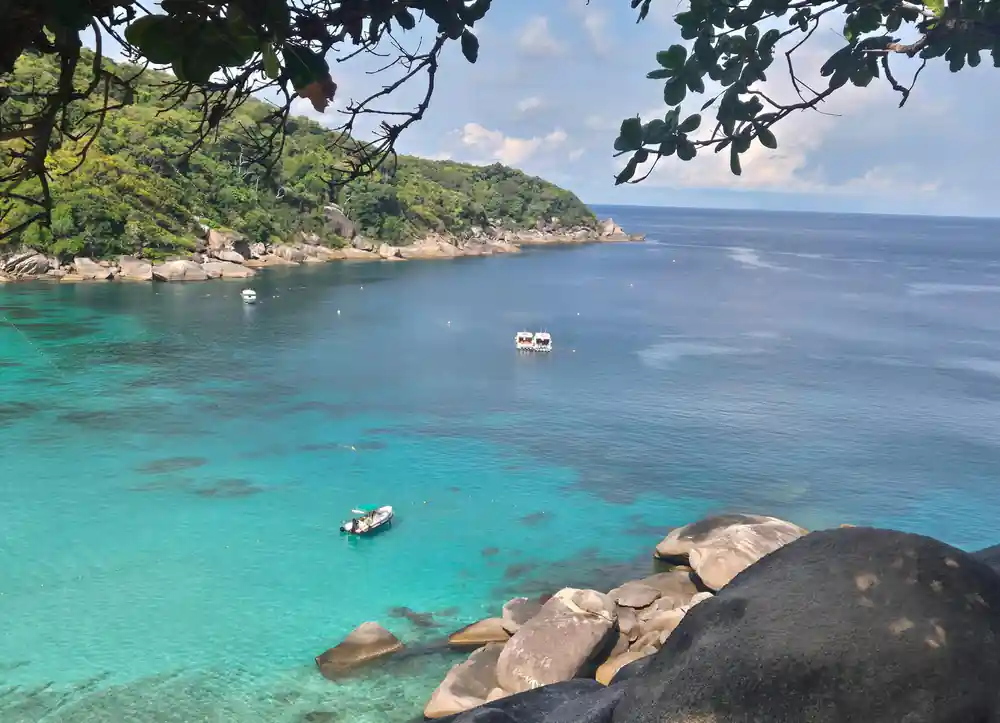 Forested hillside with turquoise bay and moored boats