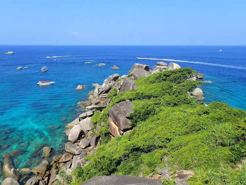 Rocky granite island covered in green vegetation from above