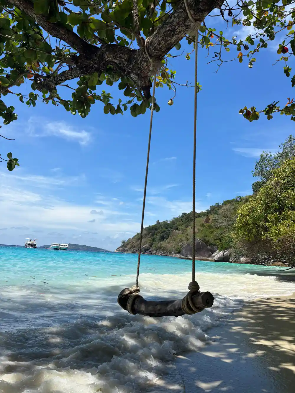Rope swing hanging over shallow turquoise water and white sand