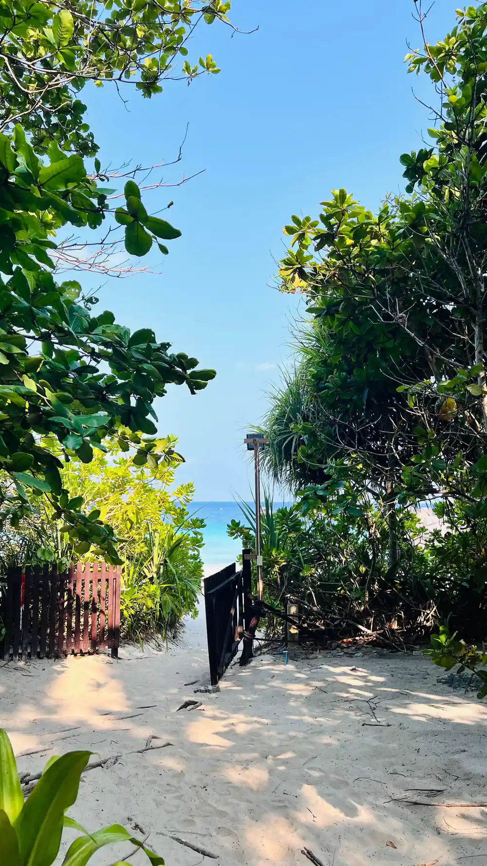 Sandy path through tropical vegetation leading to turquoise bay