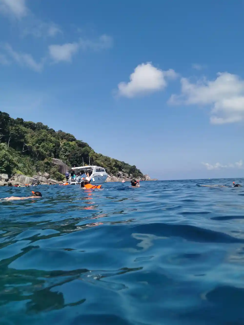 Swimmers and snorkelers in clear blue water near forested coast