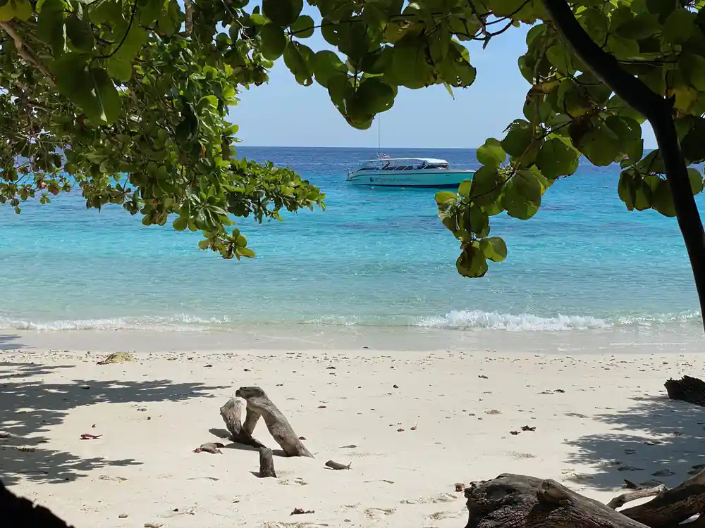 Tropical beach with turquoise water, boat, and tree shade