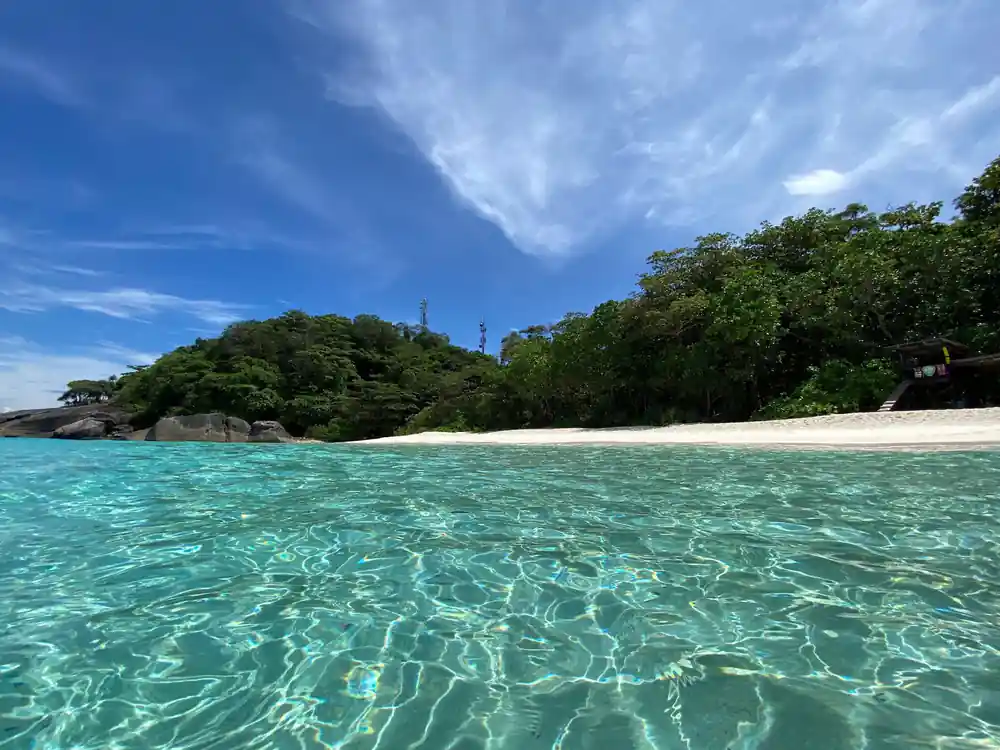 White sand beach backed by dense tropical jungle forest