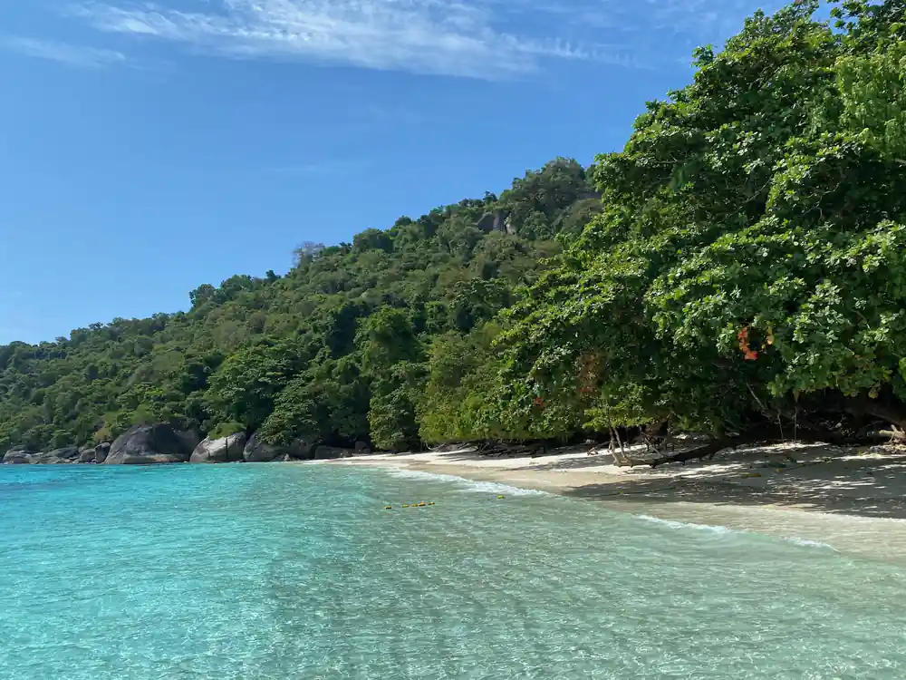 White sand beach with forest and turquoise shallow water