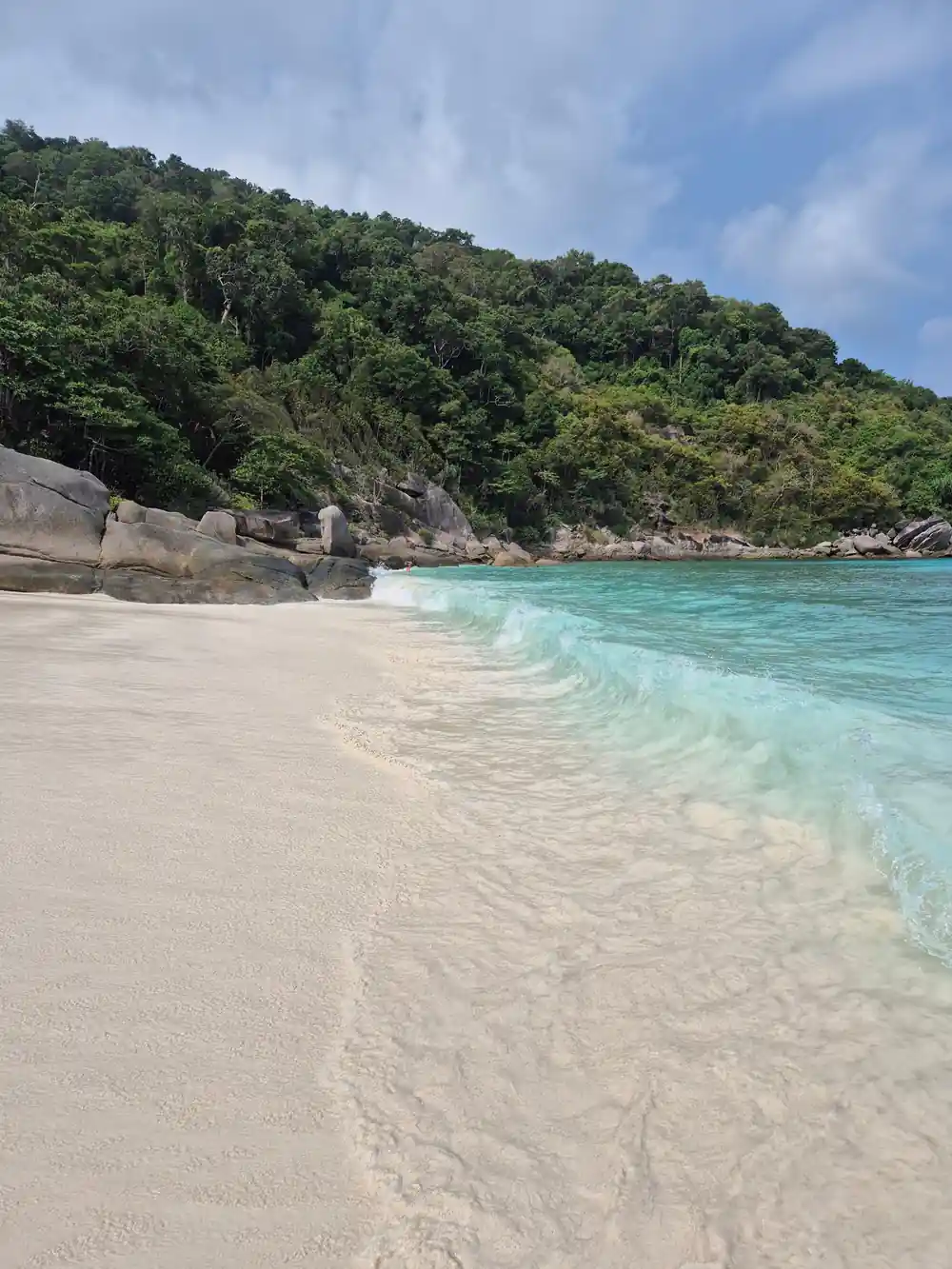 White sand beach meeting clear turquoise water and forest