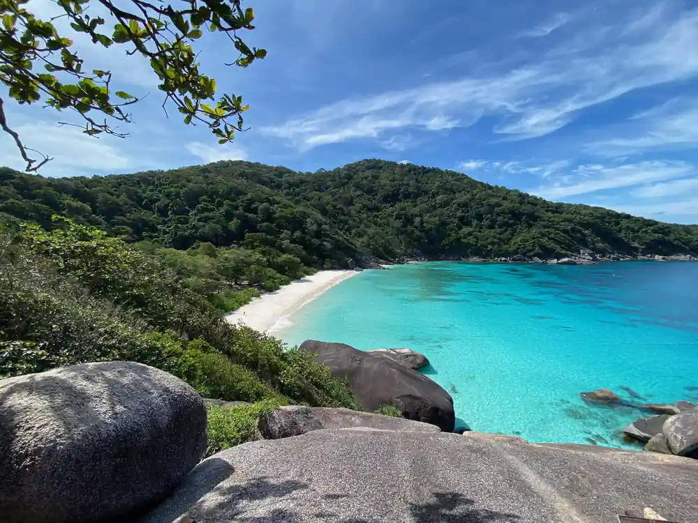 White sand beach and turquoise bay surrounded by dense forest